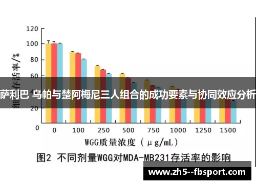萨利巴 乌帕与楚阿梅尼三人组合的成功要素与协同效应分析