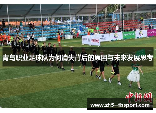 青岛职业足球队为何消失背后的原因与未来发展思考