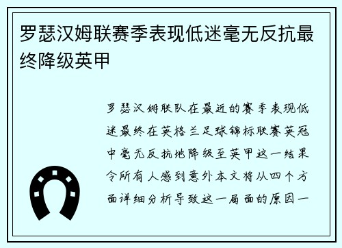 罗瑟汉姆联赛季表现低迷毫无反抗最终降级英甲